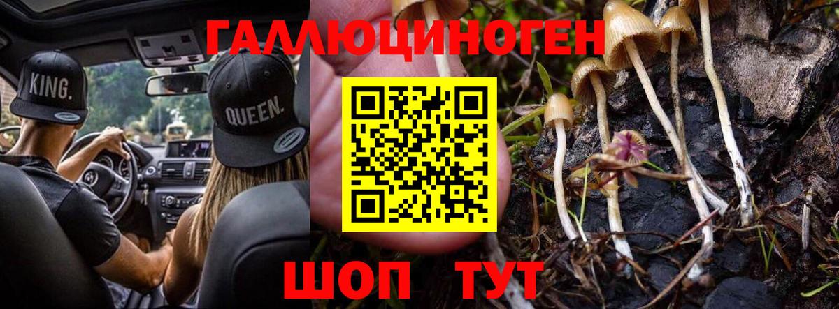 Кубинка  Галлюциногенные грибы MAGIC MUSHROOMS  Вход с VPN 